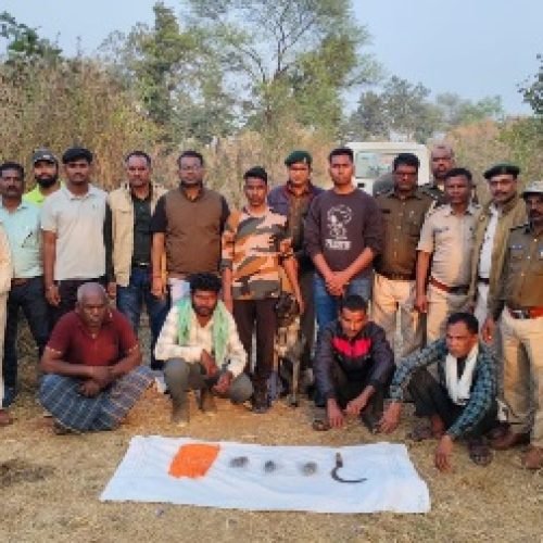 तेंदुए का अवैध शिकार: नाखून-पंजे काटने वाला आरोपी गिरफ्तार…