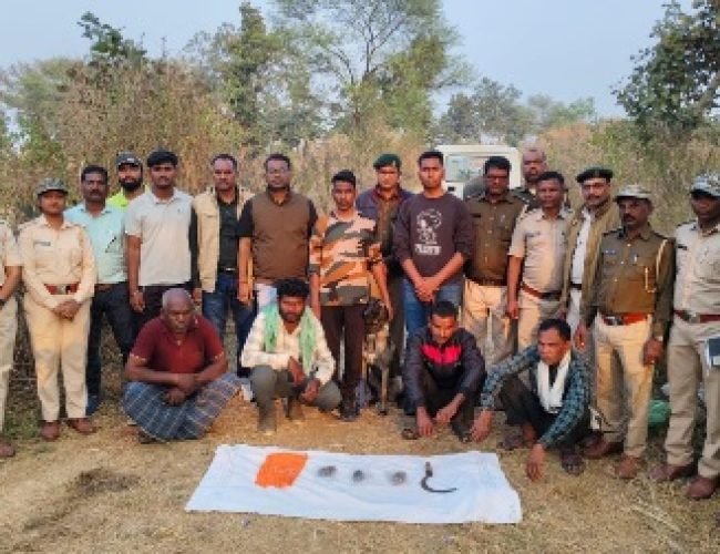 तेंदुए का अवैध शिकार: नाखून-पंजे काटने वाला आरोपी गिरफ्तार…