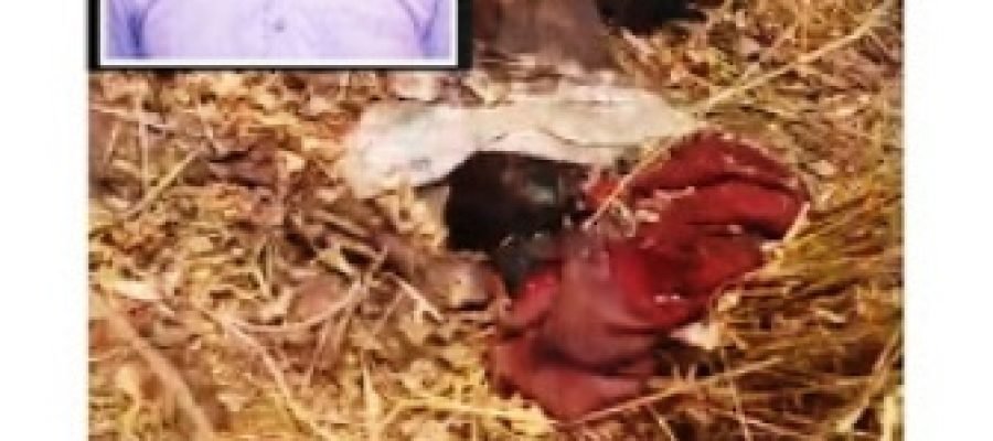 श्रृंगी ऋषि पहाड़ में सड़ी-गली लाश मिलने से हड़कंप, जनवरी से लापता व्यक्ति की हुई पहचान…