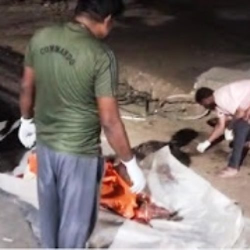 धमतरी में दर्दनाक सड़क हादसा, साइकिल सवार की मौके पर मौत…