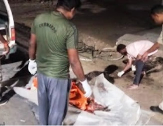 धमतरी में दर्दनाक सड़क हादसा, साइकिल सवार की मौके पर मौत…