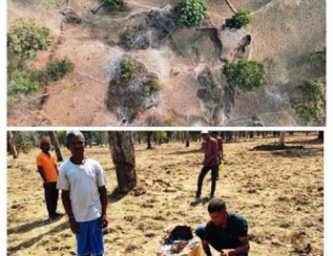 सीतानदी टाइगर रिजर्व में 1 लाख पेड़ों की अवैध कटाई का खुलासा, 106 हेक्टेयर में अतिक्रमण…