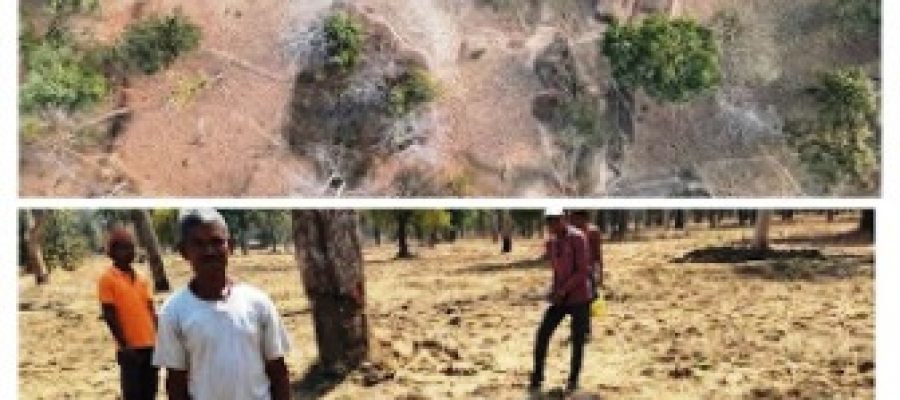 सीतानदी टाइगर रिजर्व में 1 लाख पेड़ों की अवैध कटाई का खुलासा, 106 हेक्टेयर में अतिक्रमण…