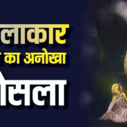 गर्मी में ठंडा और सर्दियों में गर्म, इस पक्षी के घोसले में होते हैं अलग-अलग कमरे, कहलाता है बेस्ट आर्किटेक्ट…