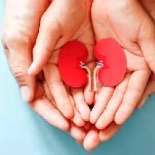 Kidney Valley: इस गांव में लोगों की है बस एक किडनी, वजह जानकर नहीं होगा यकीन…