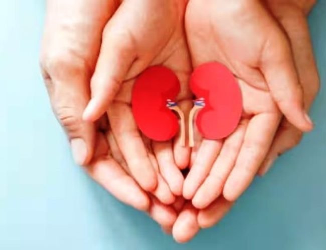 Kidney Valley: इस गांव में लोगों की है बस एक किडनी, वजह जानकर नहीं होगा यकीन…