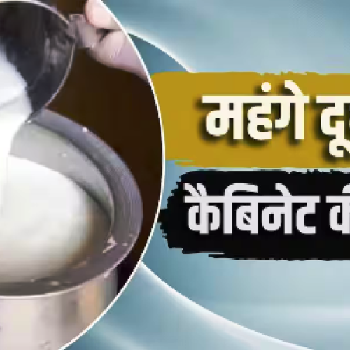 8 रुपए तक महंगा होगा दूध, इस राज्य में सरकार ने दी हरी झंडी…
