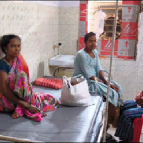 करैत सांप के डसने से डेढ़ साल की बच्ची की मौत, मां का इलाज जारी…