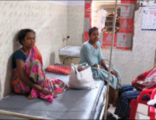 करैत सांप के डसने से डेढ़ साल की बच्ची की मौत, मां का इलाज जारी…