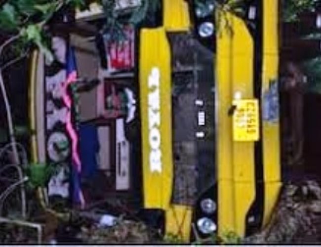 बस्तर में दर्दनाक सड़क हादसा, यात्री बस पलटने से एक महिला की मौत, 22 से ज्यादा घायल
