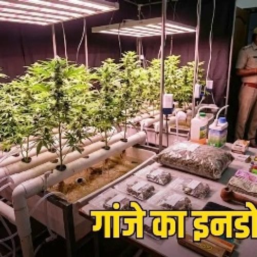 भिलाई में पहली बार हाई-टेक हाइड्रोपोनिक गांजा बरामद, दो युवक गिरफ्तार…