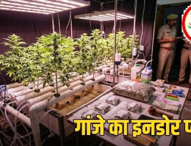 भिलाई में पहली बार हाई-टेक हाइड्रोपोनिक गांजा बरामद, दो युवक गिरफ्तार…