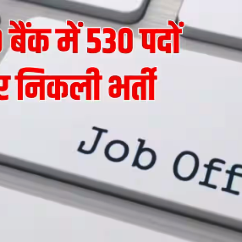 यूको बैंक में 530 पदों पर भर्ती, ग्रेजुएट उम्मीदवार 29 अक्टूबर तक करें आवेदन…