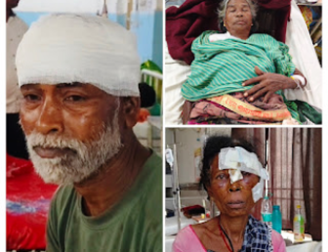 धमतरी: तेंदुए का आतंक, कारीपानी में दो महिलाओं समेत तीन ग्रामीण घायल; दो जिला अस्पताल रेफर…