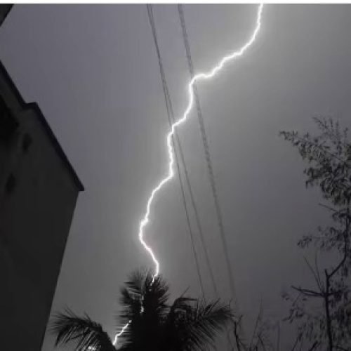 धान की रोपाई कर रहीं थीं, तभी आसमान से गिरी मौत! जानें- पलामू की भयावह दोपहर की कहानी…