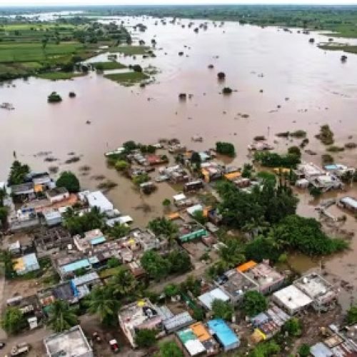 बाढ़ का ऐसा कहर, बर्बाद हुए 68.69 लाख हेक्टेयर फसल, जानें सरकार का क्या है प्लान?…