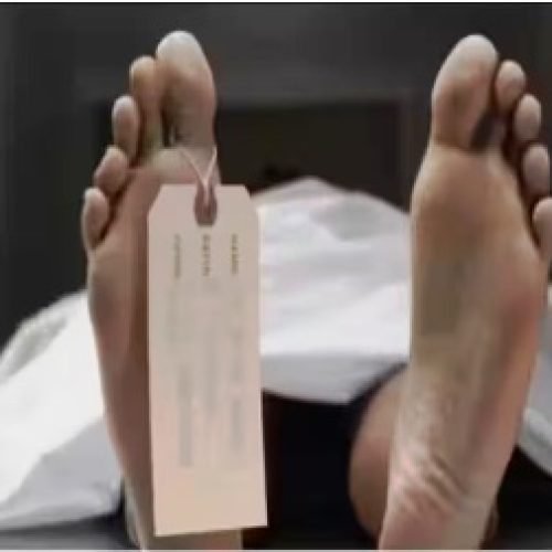 मोहाली में चौथी मंजिल से गिरकर युवक की दर्दनाक मौत, लड़की के साथ झगड़े के बाद बिगड़ा संतुलन…