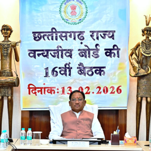 मुख्यमंत्री विष्णु देव साय की अध्यक्षता में छत्तीसगढ़ राज्य वन्यजीव बोर्ड की 16वीं बैठक संपन्न…