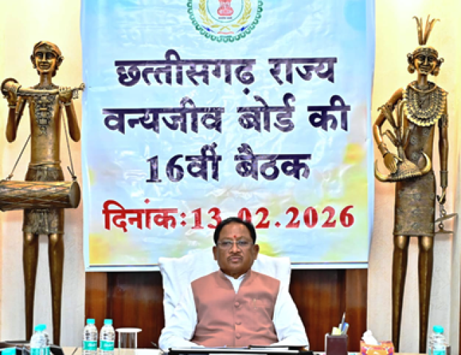 मुख्यमंत्री विष्णु देव साय की अध्यक्षता में छत्तीसगढ़ राज्य वन्यजीव बोर्ड की 16वीं बैठक संपन्न…