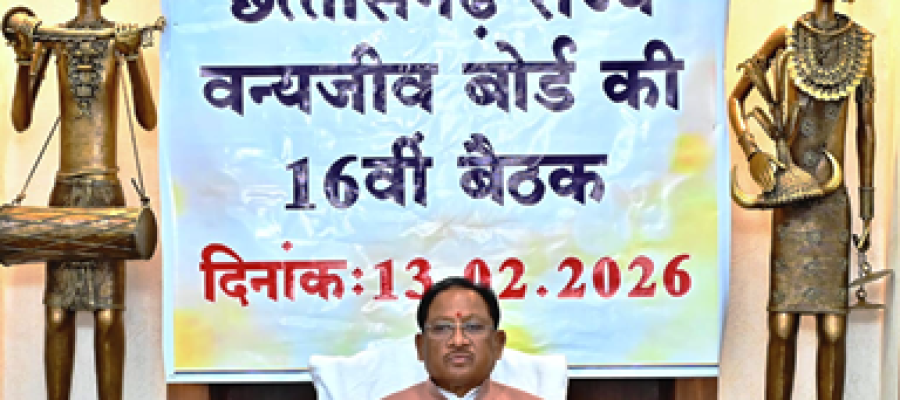 मुख्यमंत्री विष्णु देव साय की अध्यक्षता में छत्तीसगढ़ राज्य वन्यजीव बोर्ड की 16वीं बैठक संपन्न…