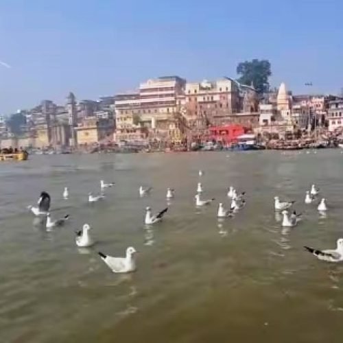 वाराणसी में बारिश और सर्दी के बीच बदलेगा मौसम का मिजाज, जनवरी में ही तापमान 25 डिग्री सेल्सियस!…