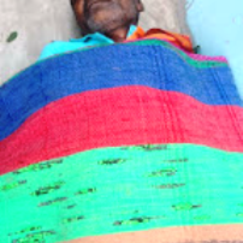 धमतरी के पास मधुमक्खियों के हमले से बुजुर्ग की मौत…