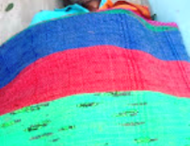 धमतरी के पास मधुमक्खियों के हमले से बुजुर्ग की मौत…