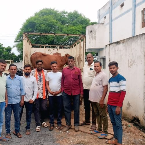 विहिप बजरंग दल ने बीरेझर चौकी क्षेत्र में पकड़ा गौ तस्करी की गाड़ी