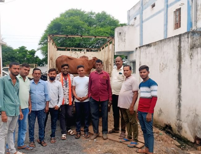 विहिप बजरंग दल ने बीरेझर चौकी क्षेत्र में पकड़ा गौ तस्करी की गाड़ी